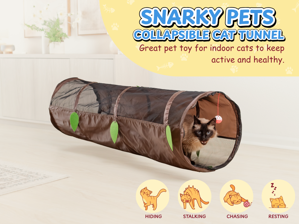 🐱 From Fur-enemies to Fur-ever Friends: How a Mesh Tunnel Saved Coco & Liza’s Relationship