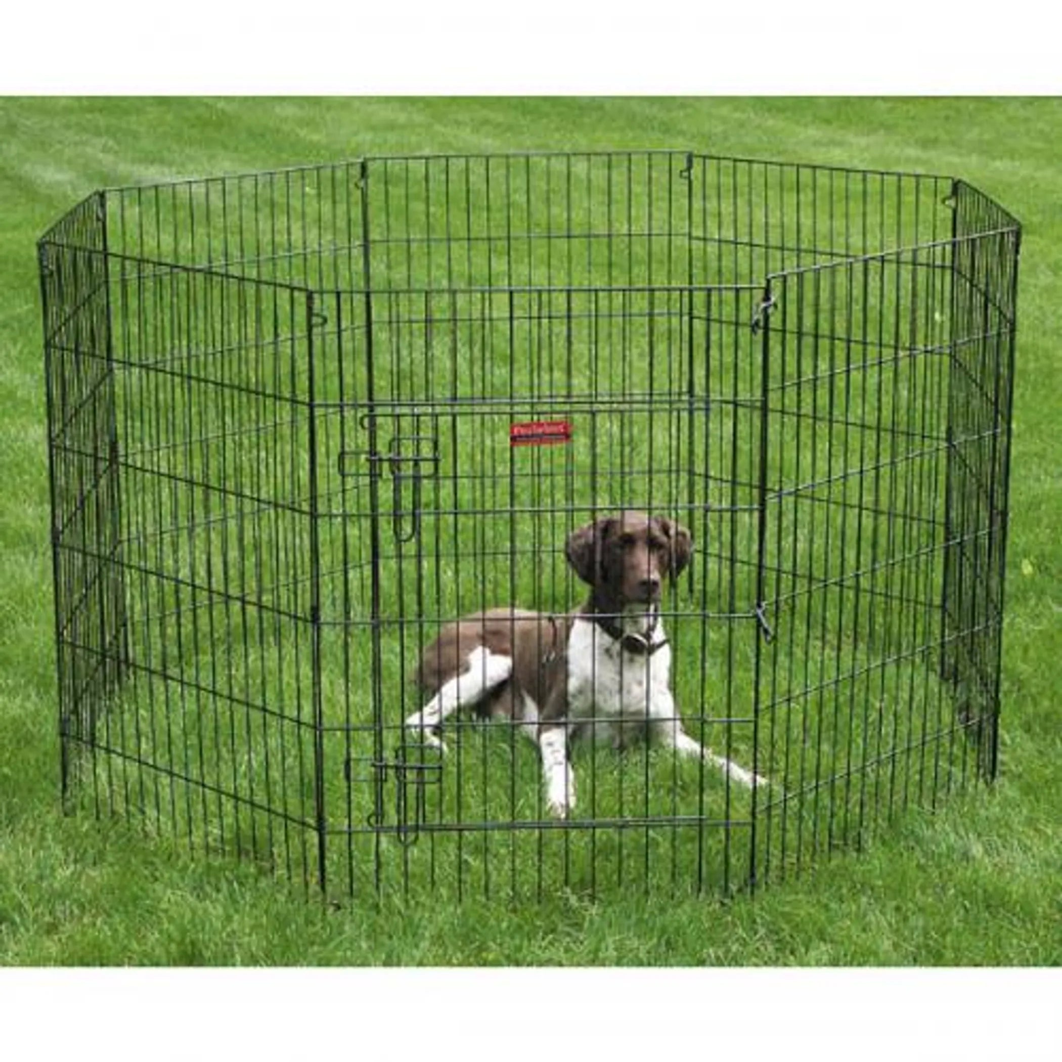 ProSelect Everlast Heavy-Duty Pet Exercise XPen with Door – 48.75" Foldable Metal Playpen for Dogs & Small Animals (Black)